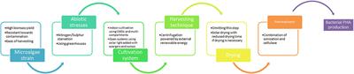 Microalgal Biomass as Feedstock for Bacterial Production of PHA: Advances and Future Prospects